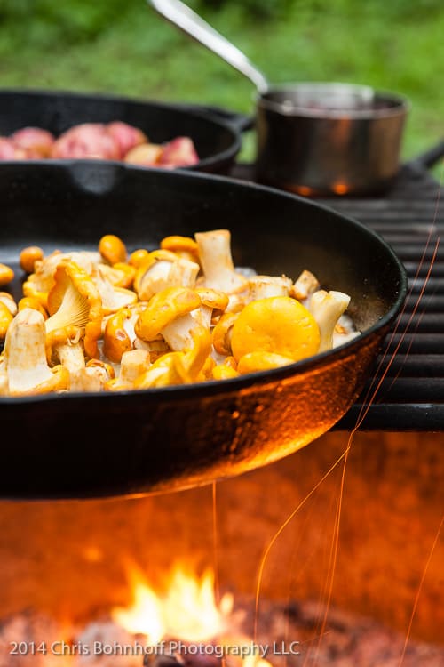 chanterelles cooking on a campfire