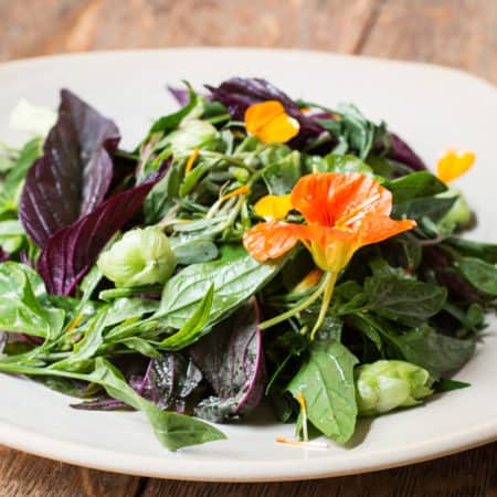 Dotty's Wild Green Salad