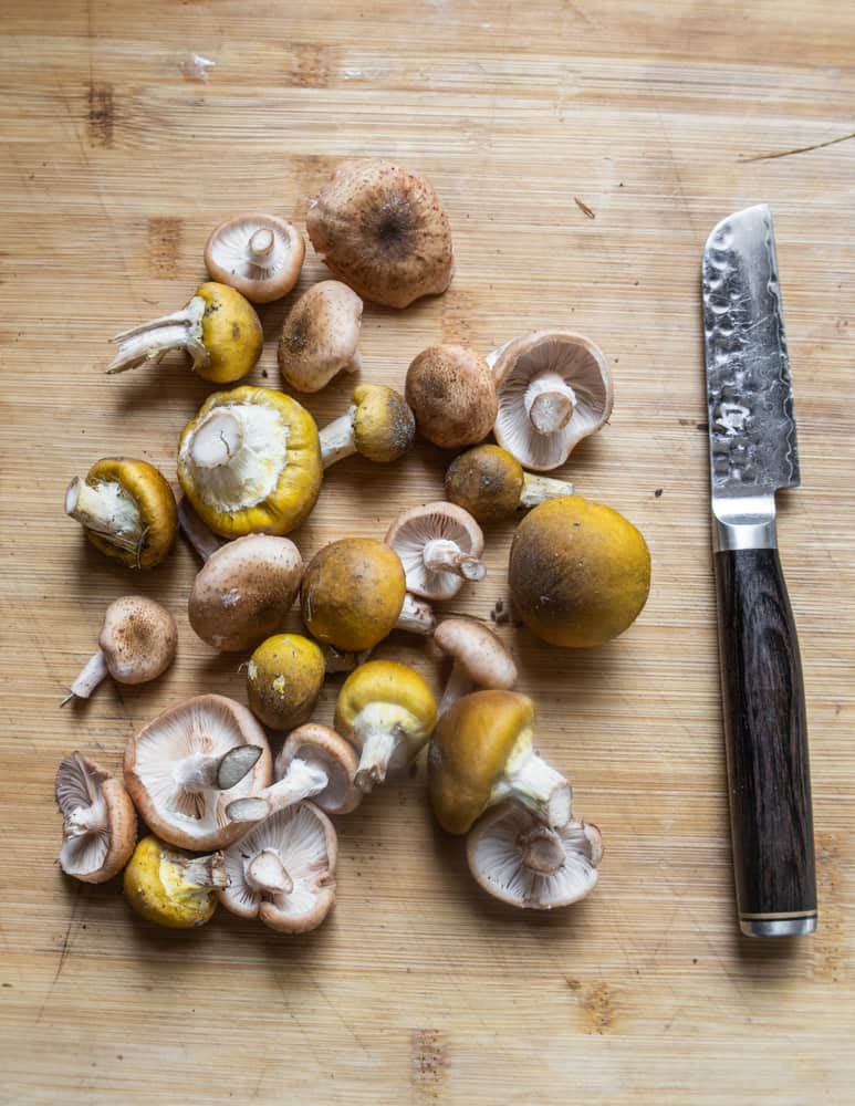 Boiled honey mushrooms