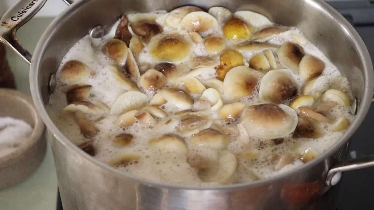 Boiling honey mushrooms