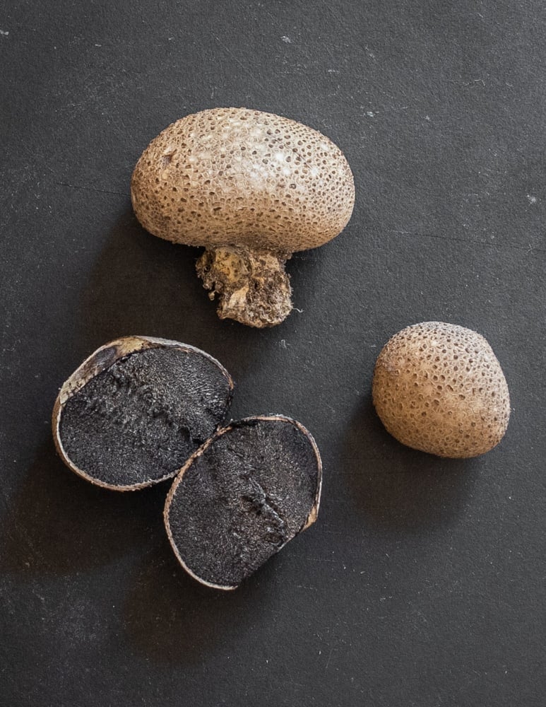 Puffball Mushrooms