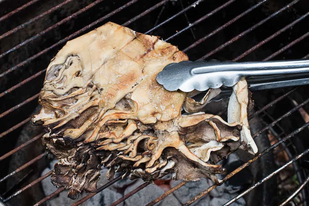 Grilled hen of the woods or maitake steaks