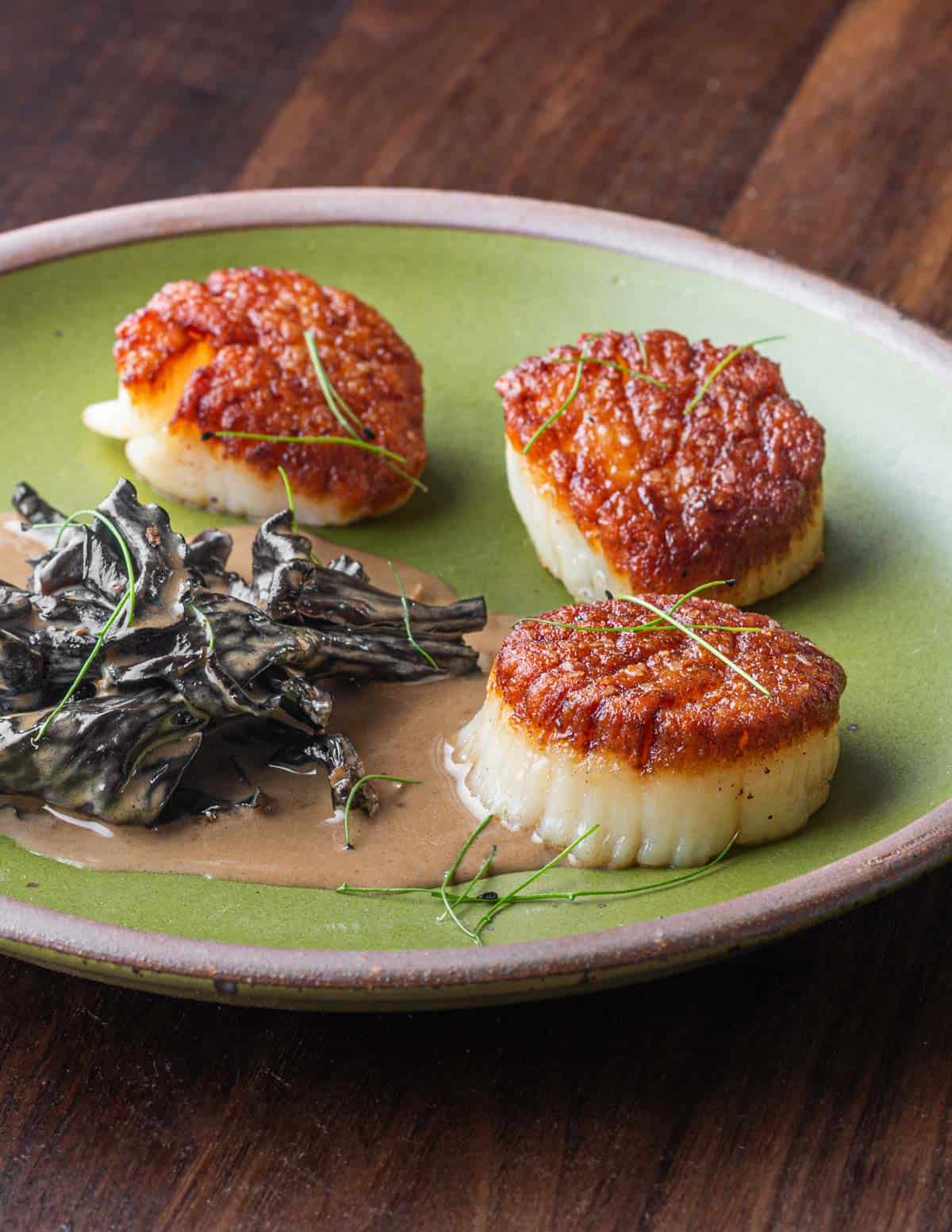 Seared scallops with black trumpet cream sauce on a plate. 