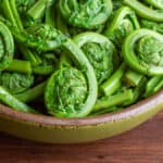 blanched ostrich fern fiddleheads in a bowl