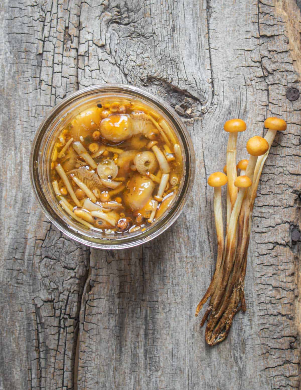 pickled enoki mushrooms in a jar on a wood bench