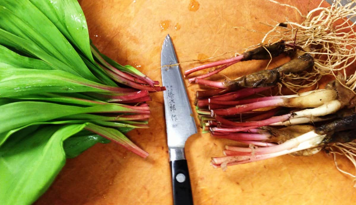 Cutting ramps for pickling