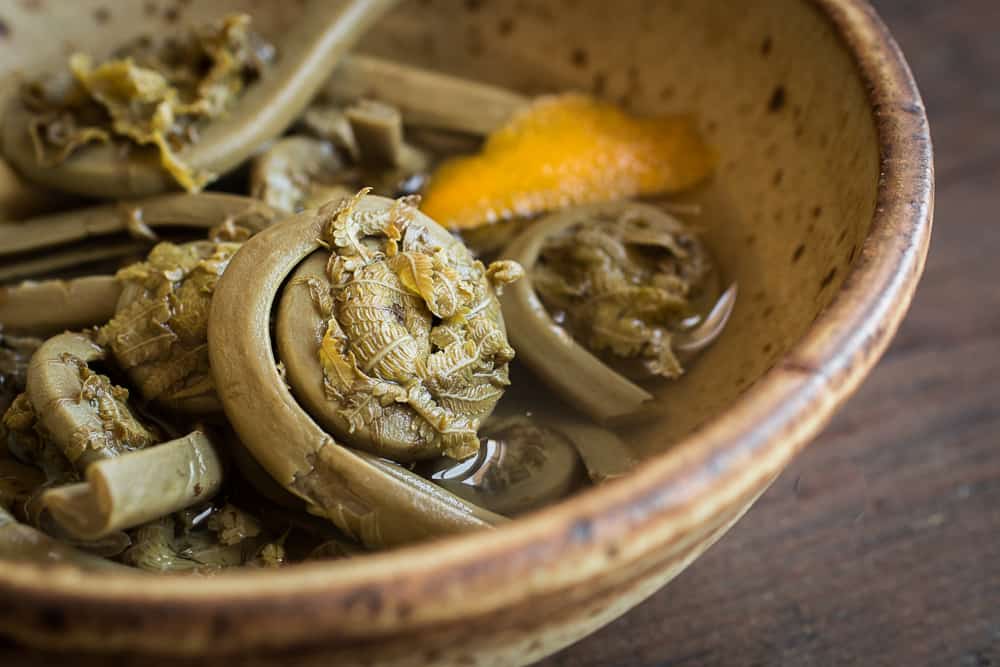 Crunchy pickled fiddlehead fern recipe 