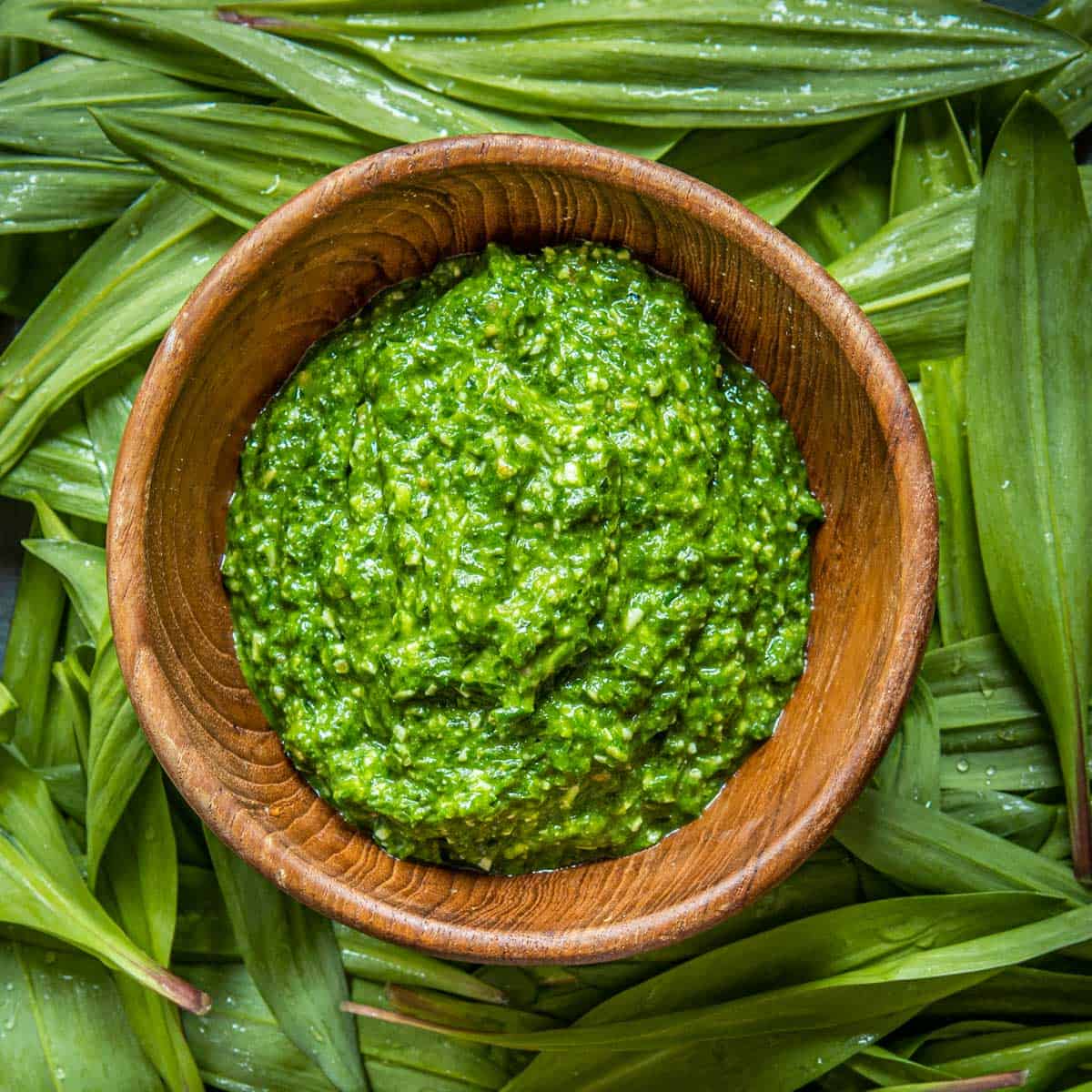 Ramp leaf pesto in a bowl surrounded by ramp leaves.