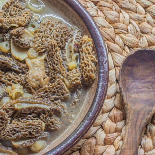 Boyd's Hundred Dollar Morel Soup Forager Chef