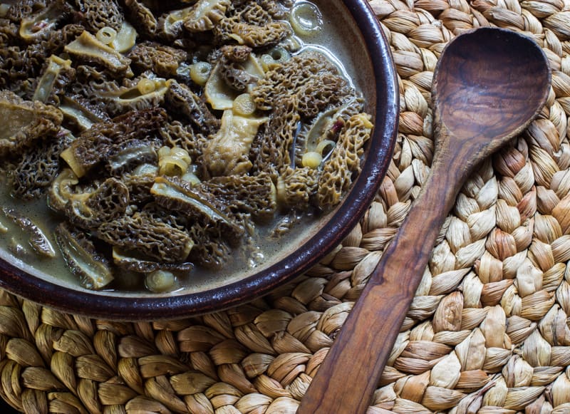 boyd's hundred dollar morel soup