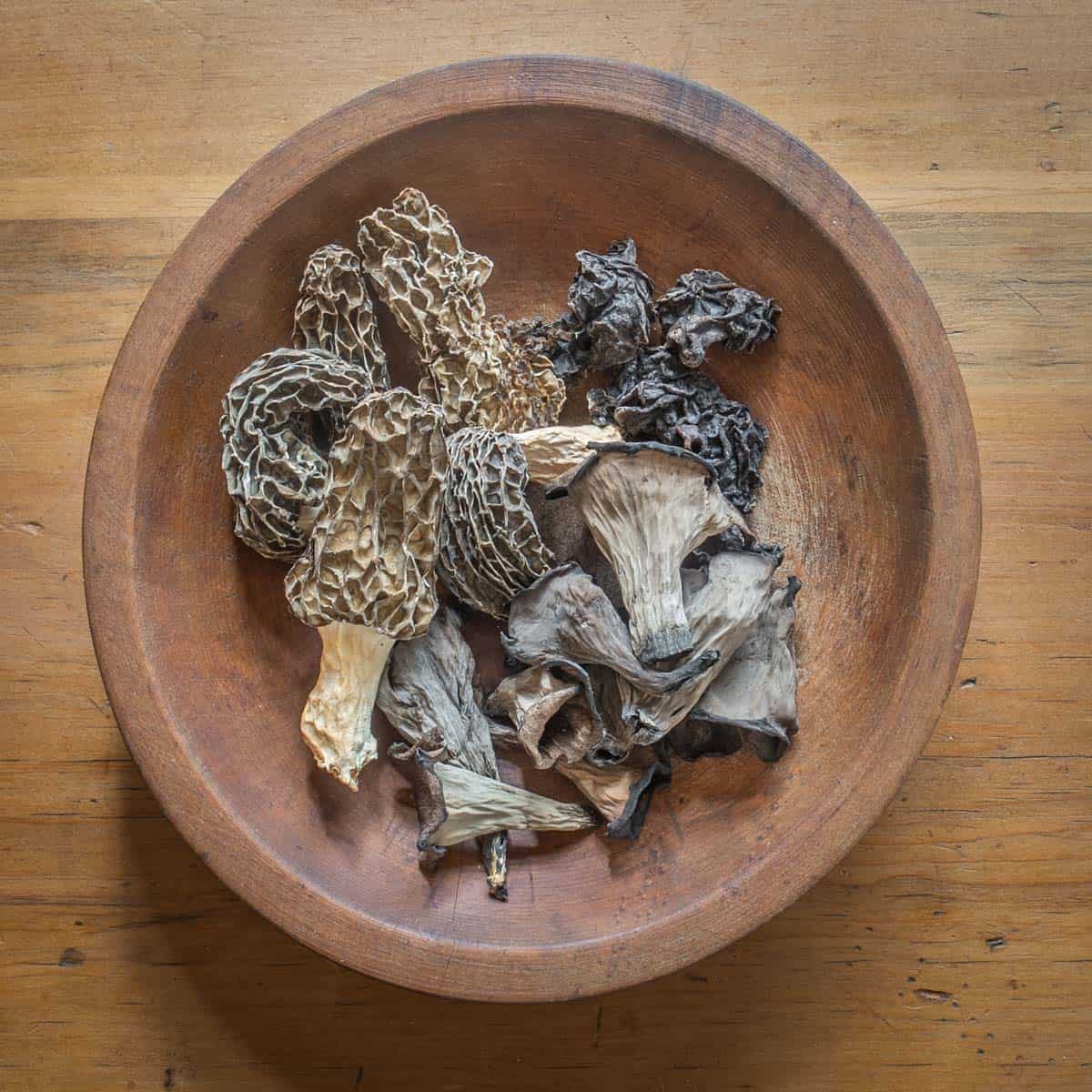 Dried Wild Mushrooms
