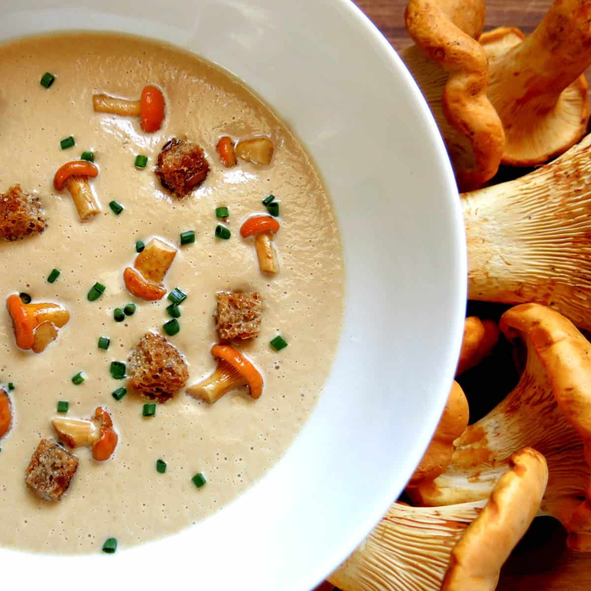 Last Chance Chanterelle Soup1