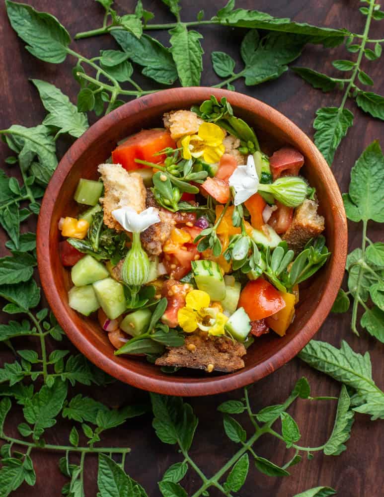 Purslane panzanella salad recipe