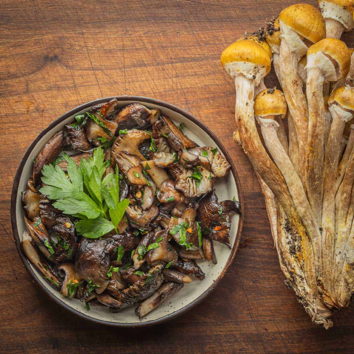 A bowl of cooked mushrooms seasoned with garlic, chili and herbs next to a cluster of fresh honey mushrooms. 