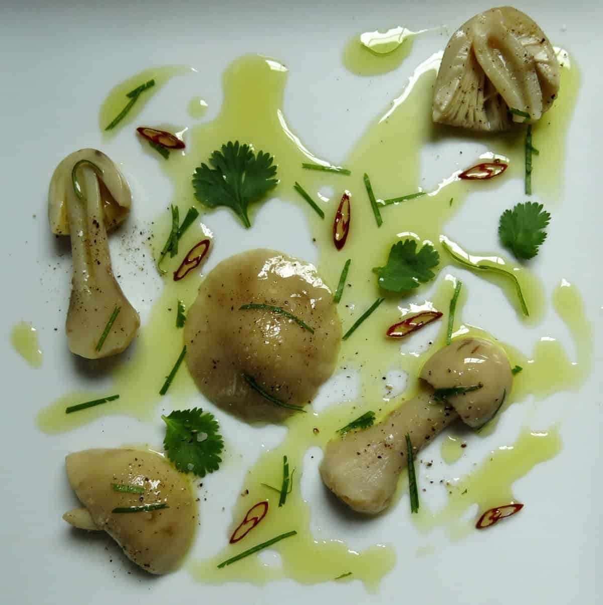 muscaria sott'olio