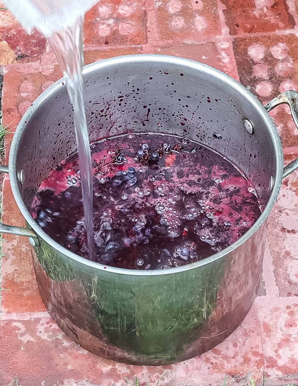 Juicing wild grapes