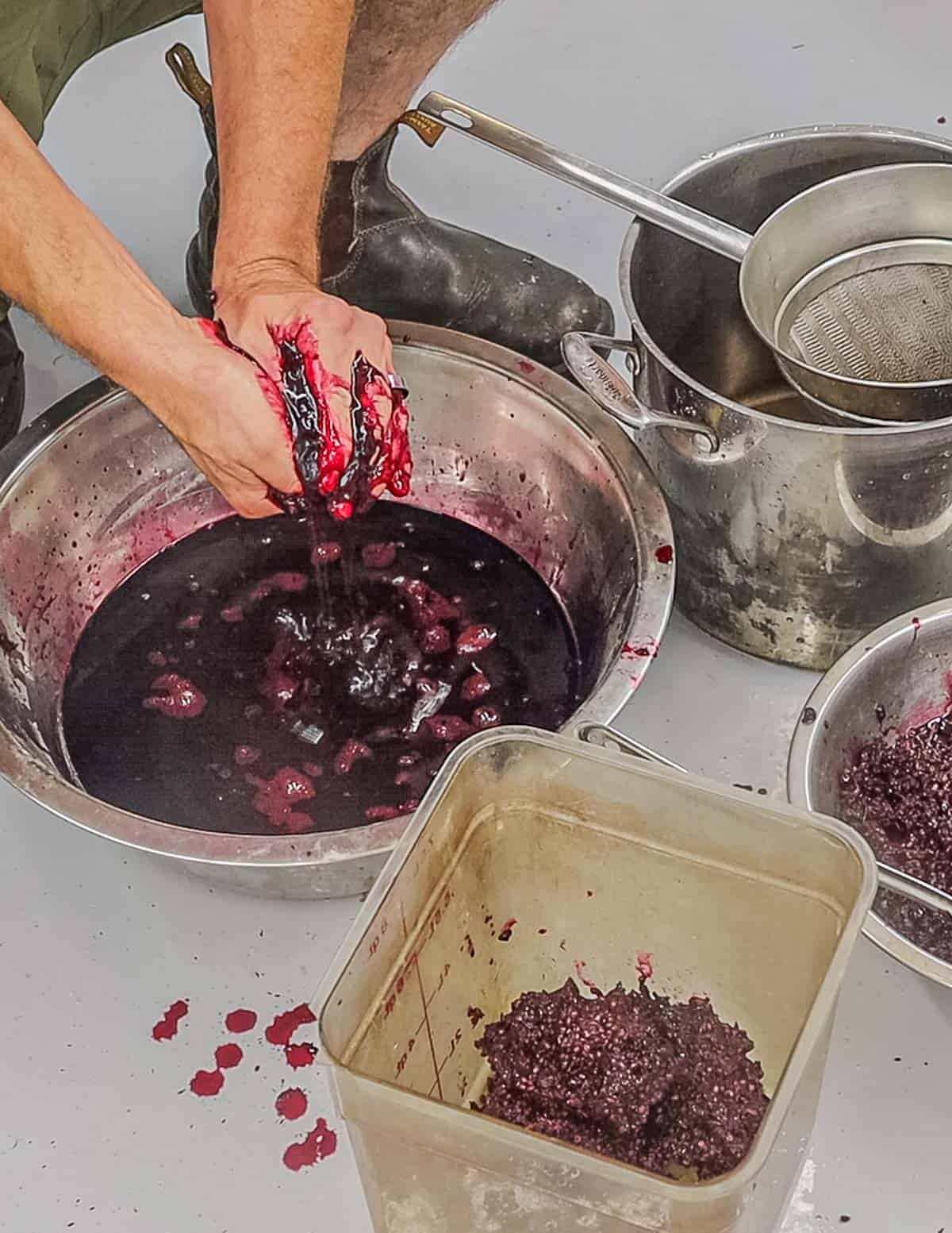 Jam, Juice, Freezing - CONNECTICUT GRAPES