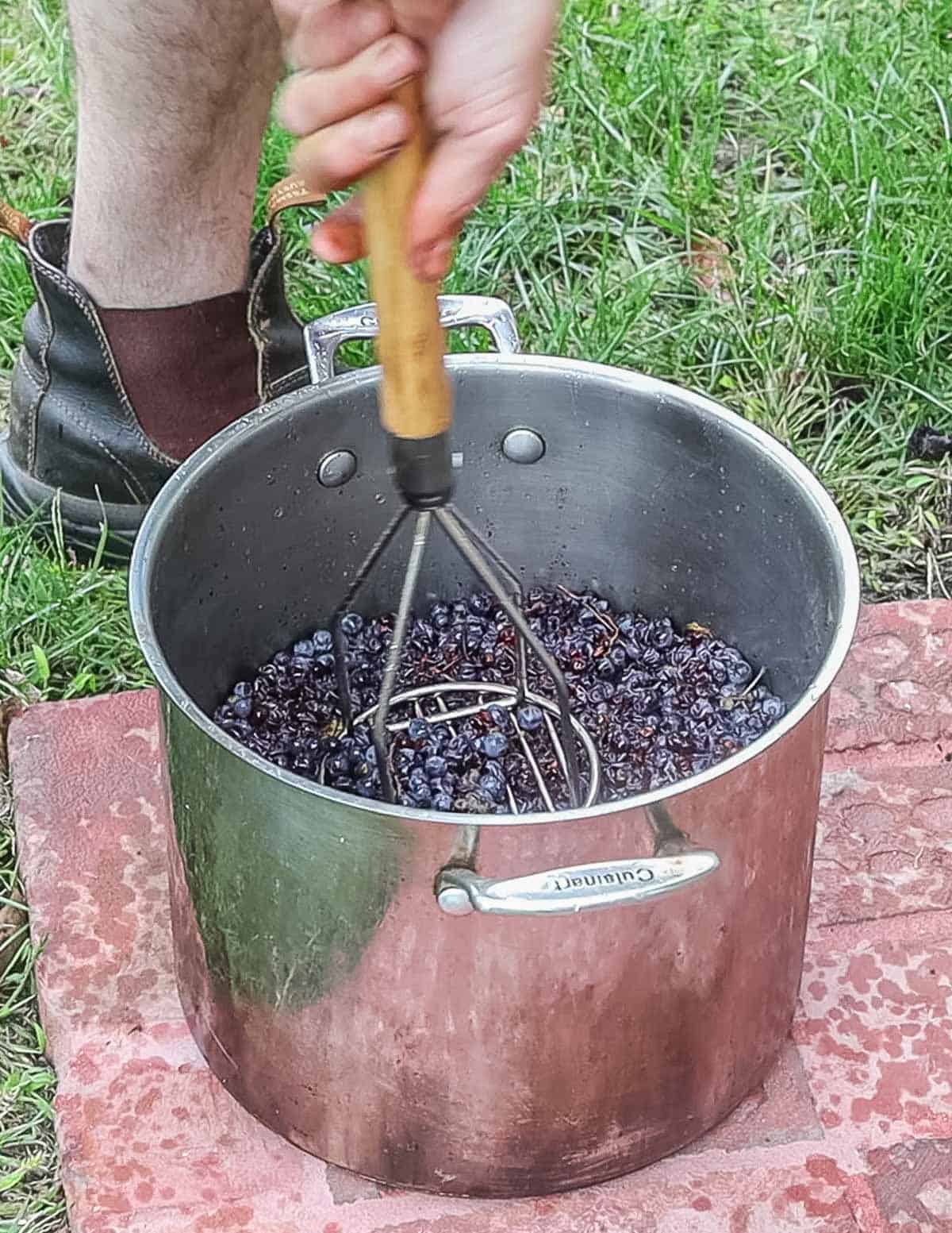 Juicing wild grapes 