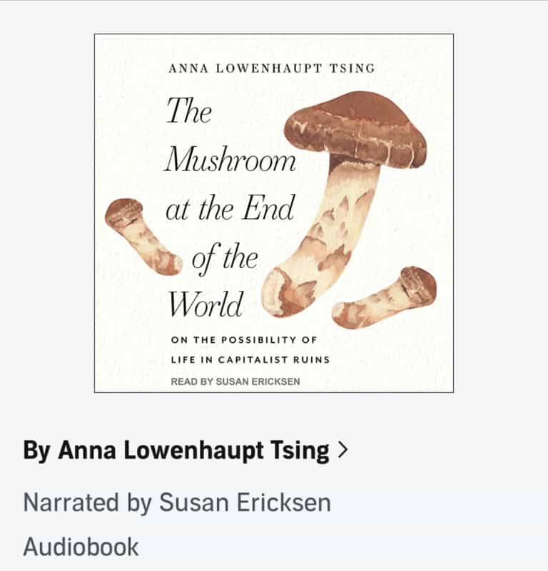 Matsutake or Pine Mushrooms Identification, Harvesting and Cooking