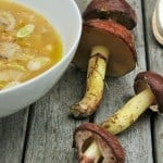 slippery jack, suillus luteus soup with cabbage