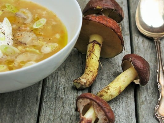 slippery jack, suillus luteus soup with cabbage 