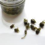 Lacto fermented dandelion capers