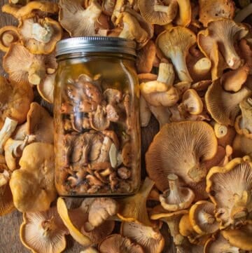 Chanterelle Mushroom Conserve