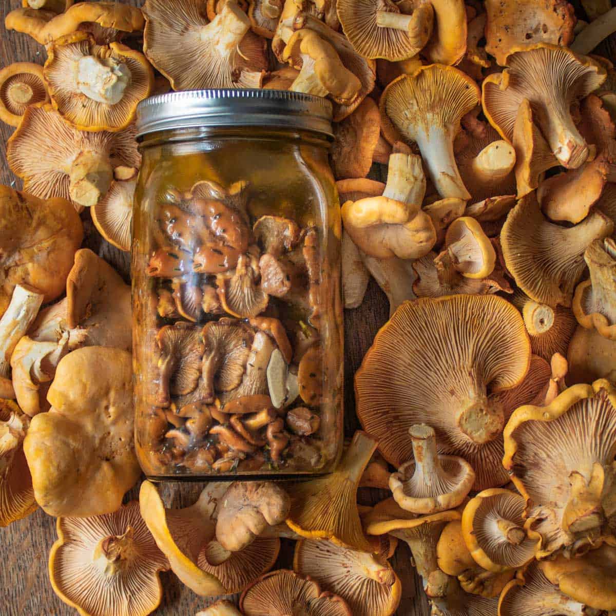 Chanterelle Mushroom Conserve