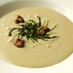 cream of boletus rex veris soup