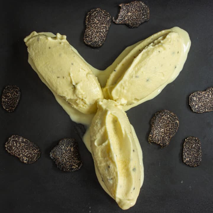 Jean Louis Palladin's Black Truffle Ice Cream Forager Chef