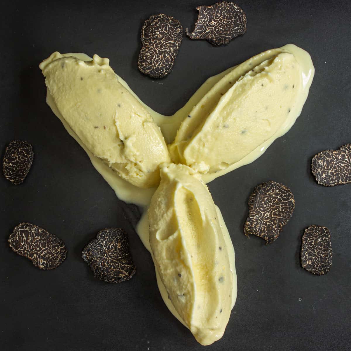 jean louis palladin's black truffle ice cream
