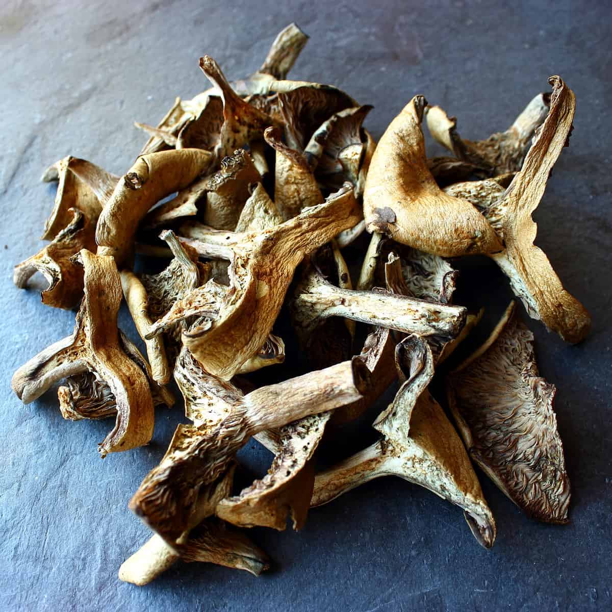 dried lactarius for powder and broth (1)