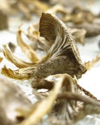 dried yellowfoot chanterelles