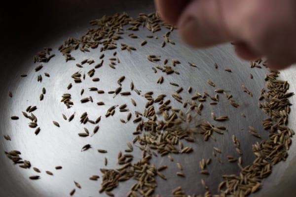 whole cumin seed