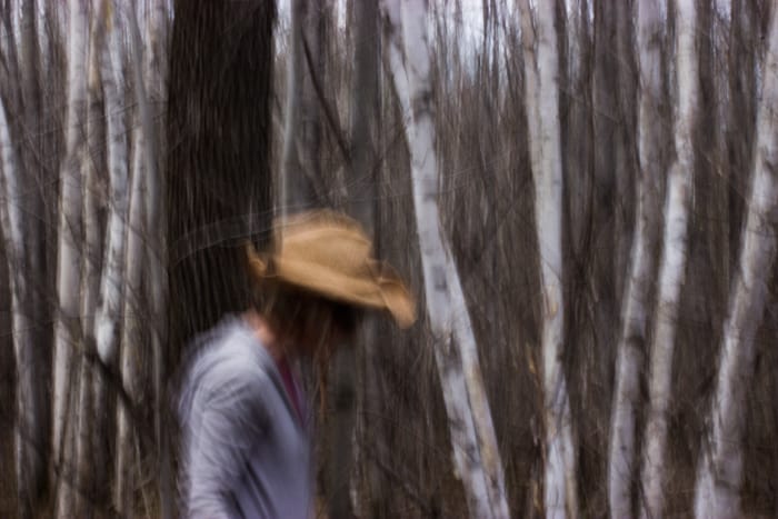 hunting black morels