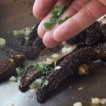 Grecian black morel recipe