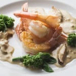 shrimp with porcini soy cream