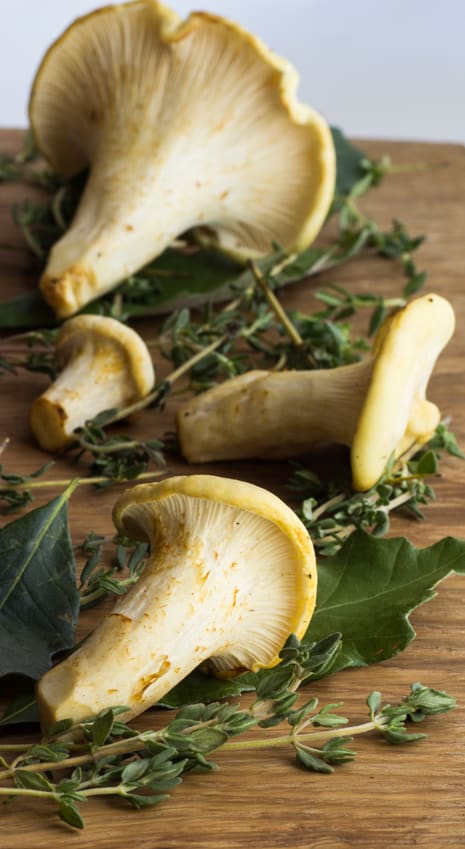 white chanterelles roasted with thyme