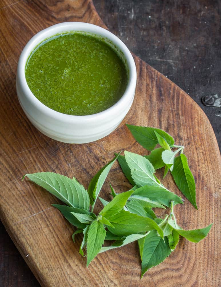 Bergamot, wild oregano, Monarda fistulosa herb sauce 