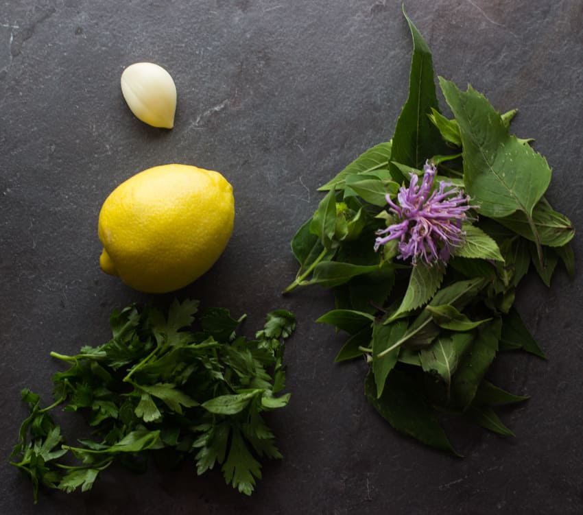 bergamot recipe, wild oregano recipe, bergamot salmoriglio, salmoriglio ingredients, 