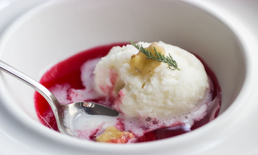 goat milk sorbet with red currant syrup black walnuts and yarrow