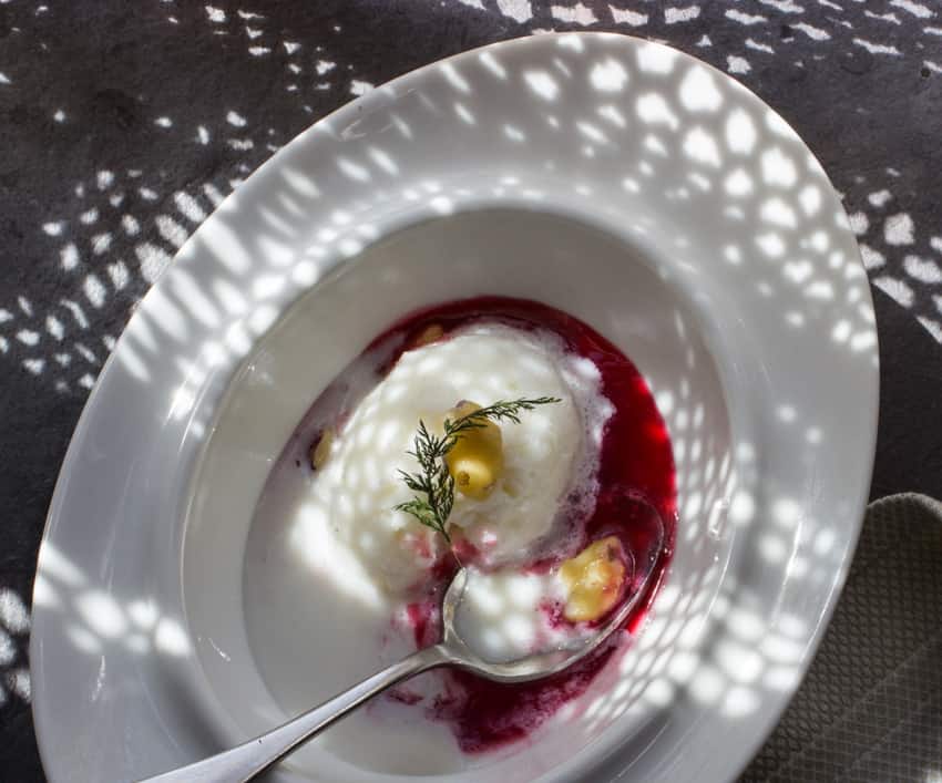 goat milk sorbet with red currant syrup black walnuts and yarrow