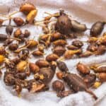 washed tubers on a towel.