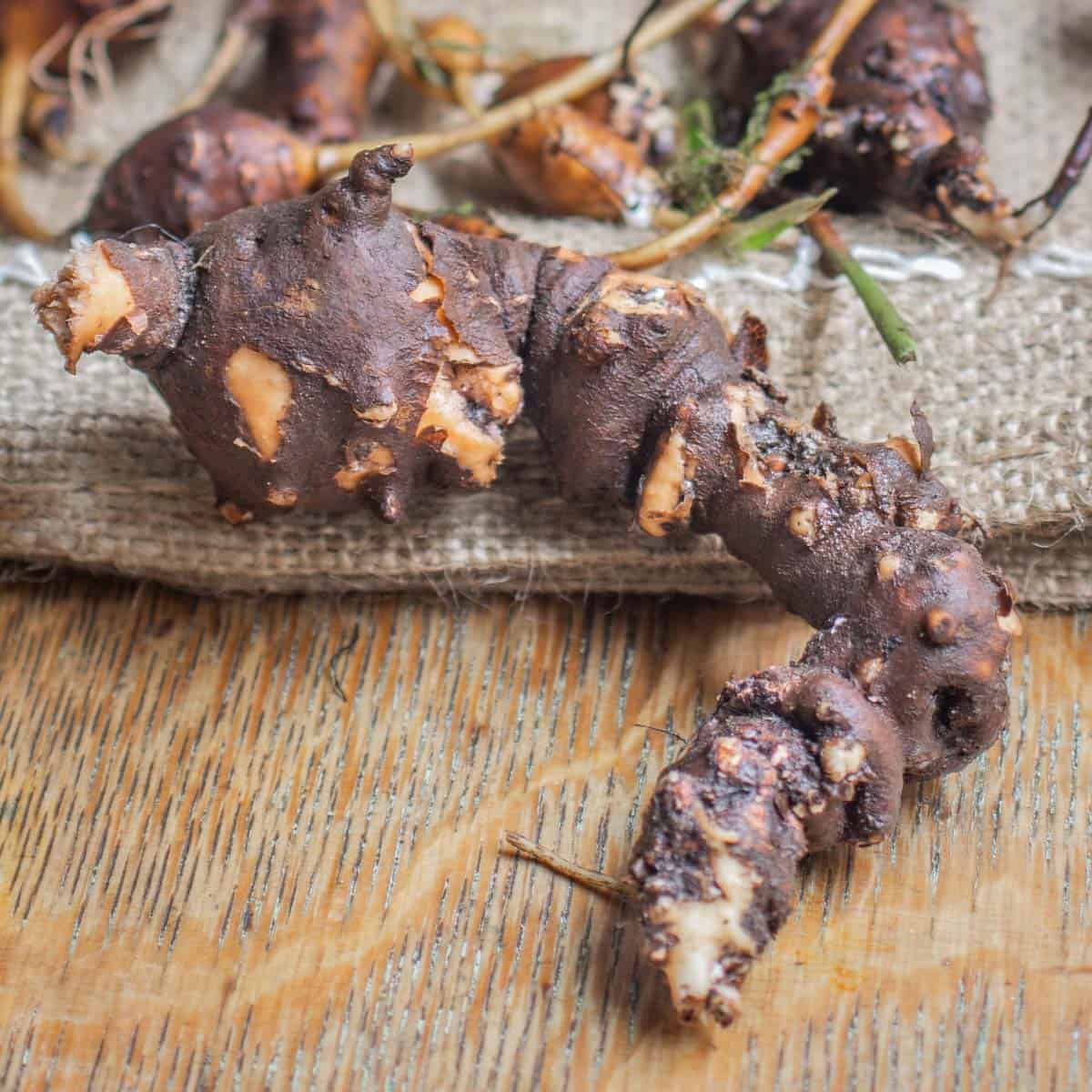 a large tuber on a table