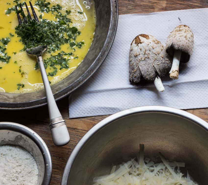 parmesan crusted shaggy mane mushrooms