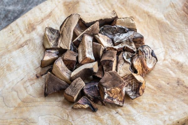 Dried Ischnoderma resinosum, or resinous polypore 