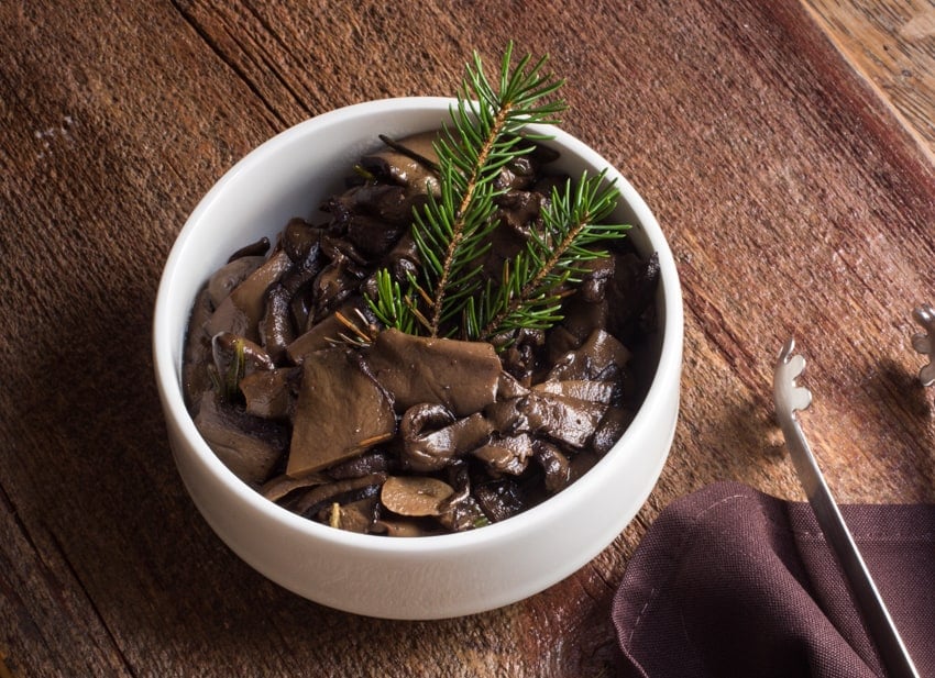Ischnoderma Mushroom Conserve-image