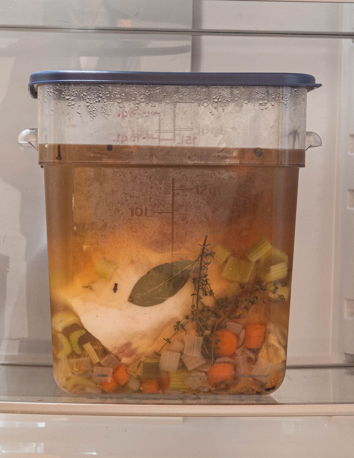A container holding a pig head in brine in the fridge. 