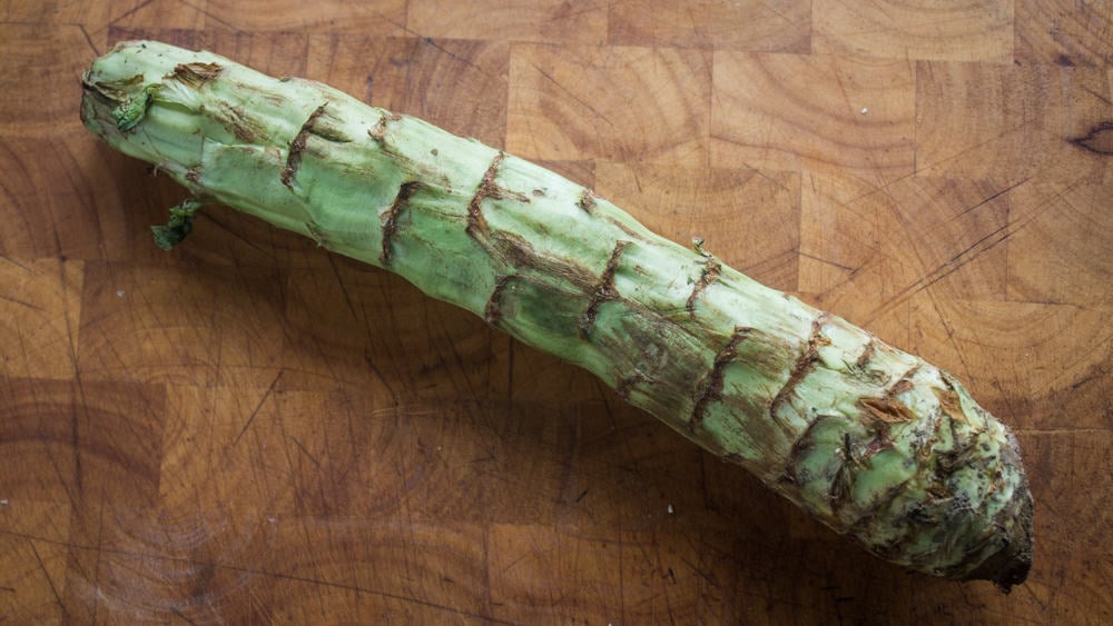 Celtuce or Chinese stem lettuce