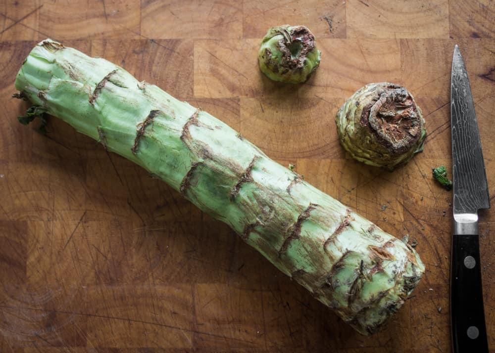 Celtuce or Chinese stem lettuce